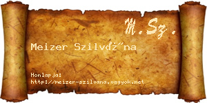 Meizer Szilvána névjegykártya